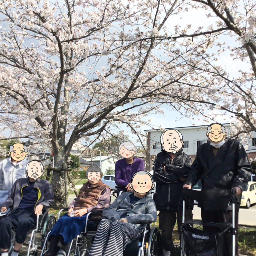 満開の桜が入居者様をお出迎え
